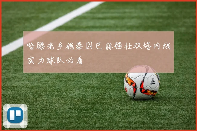 哈滕老乡施泰因巴赫强壮双塔内线实力球队必看