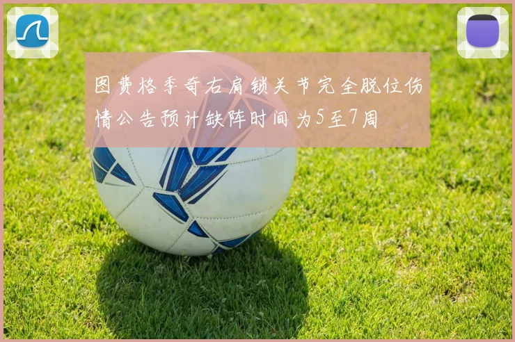 图费格季奇右肩锁关节完全脱位伤情公告预计缺阵时间为5至7周