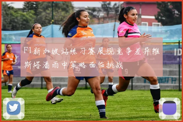 F1新加坡站练习赛展现竞争差异维斯塔潘雨中策略面临挑战